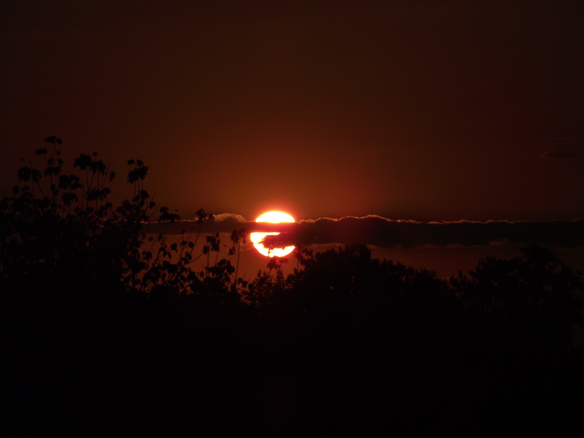 A red sun behind a thin horizontal cloud and the shadow of some trees